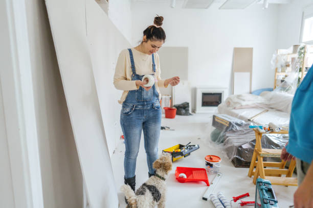 Best Acoustic Drywall Installation  in Tremont, IL